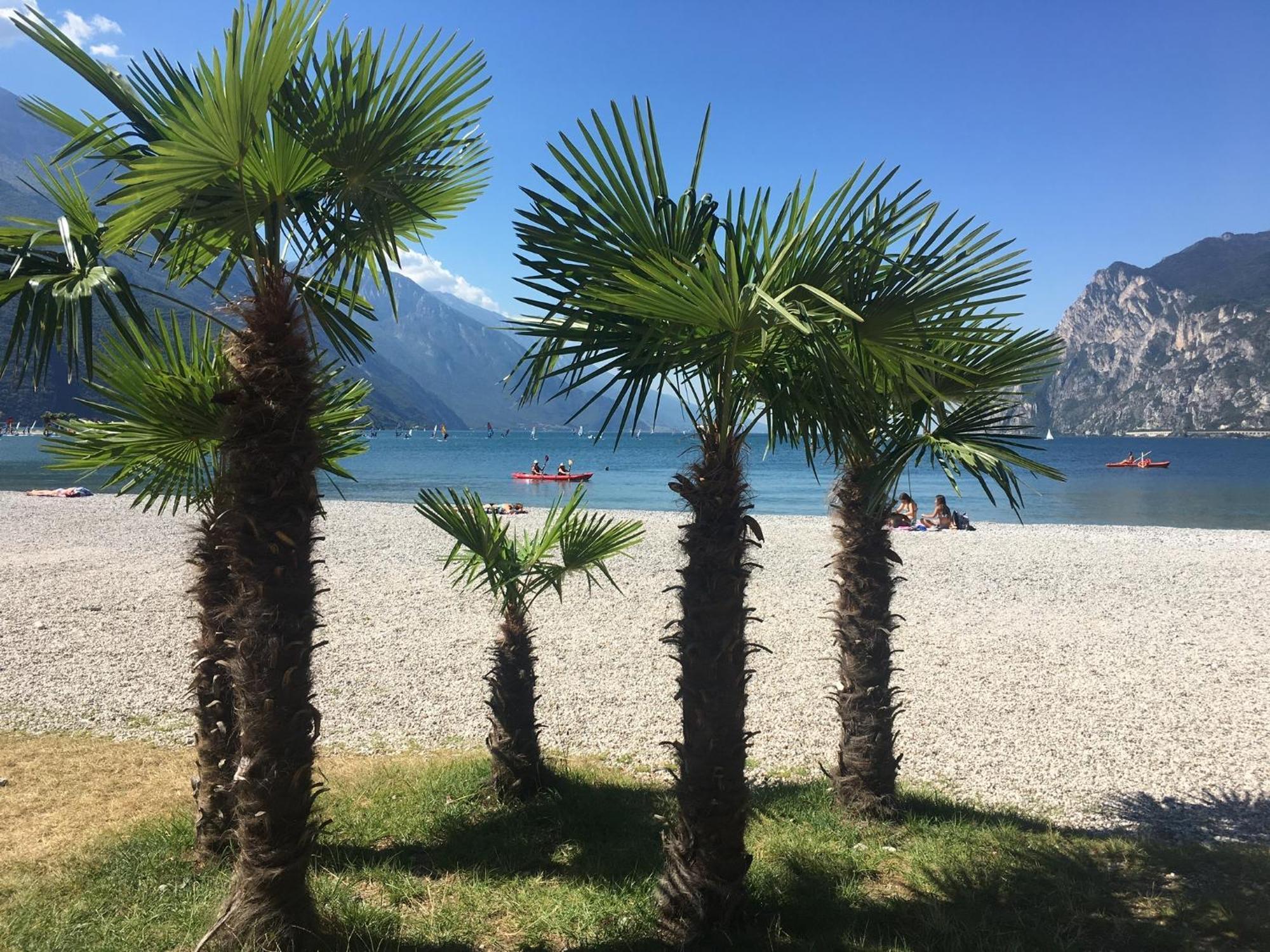 Outdooredo Garda Torbole Torbole Sul Garda Esterno foto